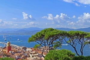 Da Nizza: Tour di un giorno intero a Saint-Tropez e Port Grimaud