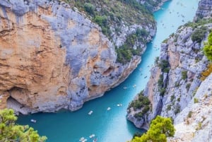 Aus Nizza: Der Grand Canyon Europas und seine Lavendelfelder
