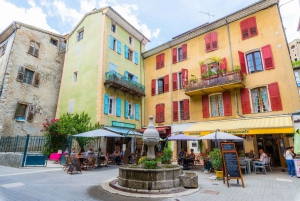 From Nice: The Grand Canyon of Europe & its Lavender Fields