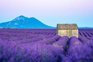 Von Nizza aus: Verdon-Schluchten & Lavendelfelder Tour & Transport