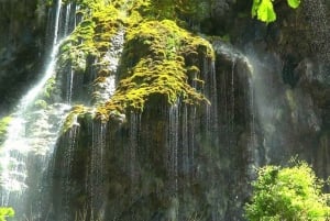 De Nice: Tour e transporte pelas Gargantas do Verdon e Campos de Lavanda