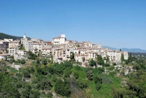 West Coast and Country Side full day Tour