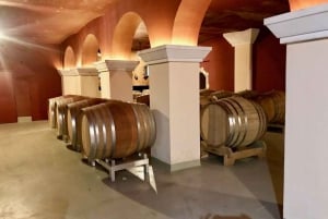 Vanuit Nice: Wijnproeven & Provençaalse plattelandstour