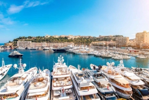 Desde el puerto de Cannes Excursión en tierra privada personalizada