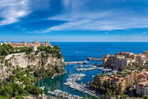 Da Villefranche: Escursione privata a Monaco e Eze