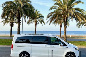 Tour panoramico della Costa Azzurra di un giorno intero