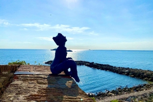 Tour panoramico della Costa Azzurra di un giorno intero