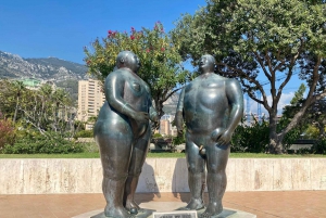 Visite d'une jounée du panorama de la Côte d'Azur