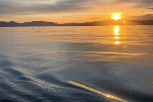 Golf Juan: Crociera in barca a vela al tramonto con aperitivo sull'isola