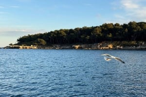 Golfe-Juan: Entdecke die Kunst des Segelns auf einer Panorama-Kreuzfahrt