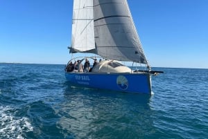 Golfe-Juan: Entdecke die Kunst des Segelns auf einer Panorama-Kreuzfahrt