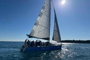 Golfe-Juan: Entdecke die Kunst des Segelns auf einer Panorama-Kreuzfahrt