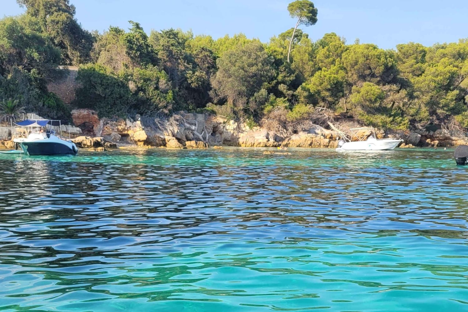 Golfe-Juan: Lérins-øerne/Cap d'Antibes: Speedbådtur 1 time og 30 minutter