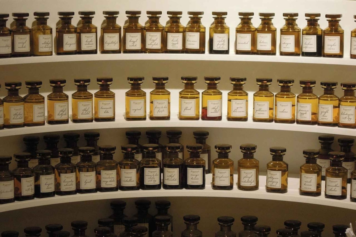 Grasse, Gourdon and local wine tasting