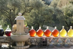 Grasse, Gourdon and local wine tasting
