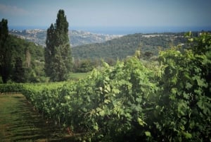Grasse, Gourdon and local wine tasting