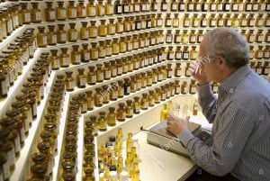 Grasse, Gourdon and local wine tasting