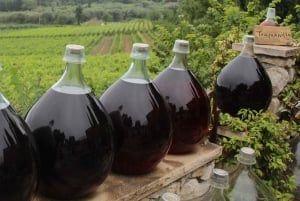 Grasse, Valbonne & Gourdon: Day Tour with Wine Tasting