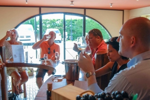 Grasse, Valbonne & Gourdon: Day Tour with Wine Tasting