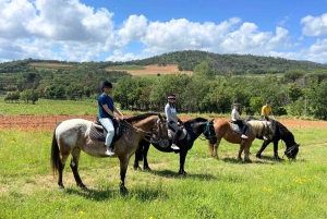 Grimaud: Ridning og vinsmagning i Maures-skoven