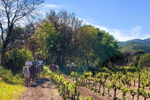 Grimaud: Ridning og vinsmagning i Maures-skoven