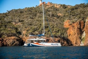 Crucero guiado: bellos lugares de la costa de San Rafael