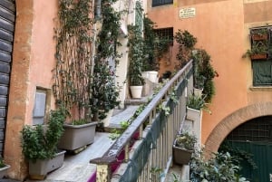 Guided tour of Old Nice