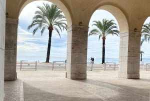 Guided tour of Old Nice