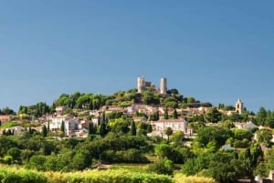 Provence Day, Saint Tropez Grimaud village Wine tasting