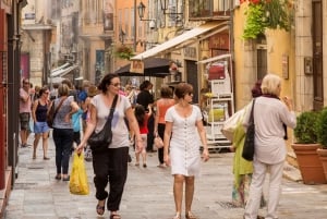 Nice: Middeleeuwse dorpen hele dag met gids