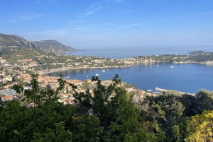 Tour di mezza giornata privato da Nizza a Monaco