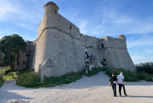 Tour di mezza giornata privato da Nizza a Monaco