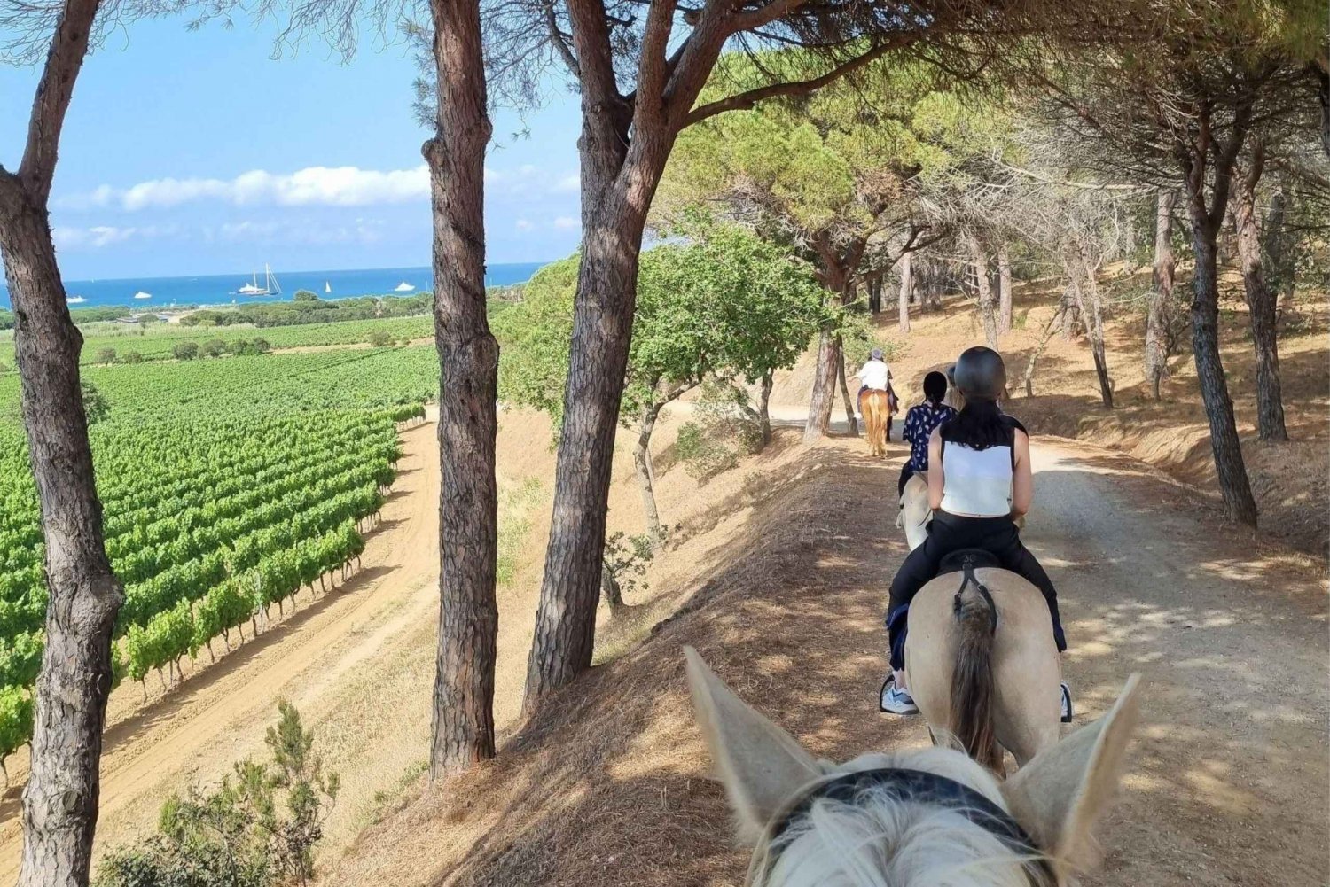Excursión a caballo + cata de vinos en Ramatuelle