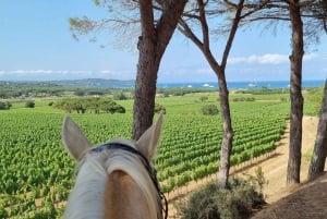 Randonnée à cheval + dégustation de vin à Ramatuelle
