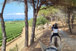 Passeio a cavalo + prova de vinhos em Ramatuelle