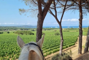 Passeio a cavalo + prova de vinhos em Ramatuelle