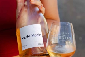 Passeio a cavalo + prova de vinhos em Ramatuelle