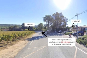 Passeio a cavalo + prova de vinhos em Ramatuelle