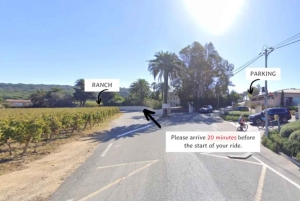 Passeio a cavalo + prova de vinhos em Ramatuelle