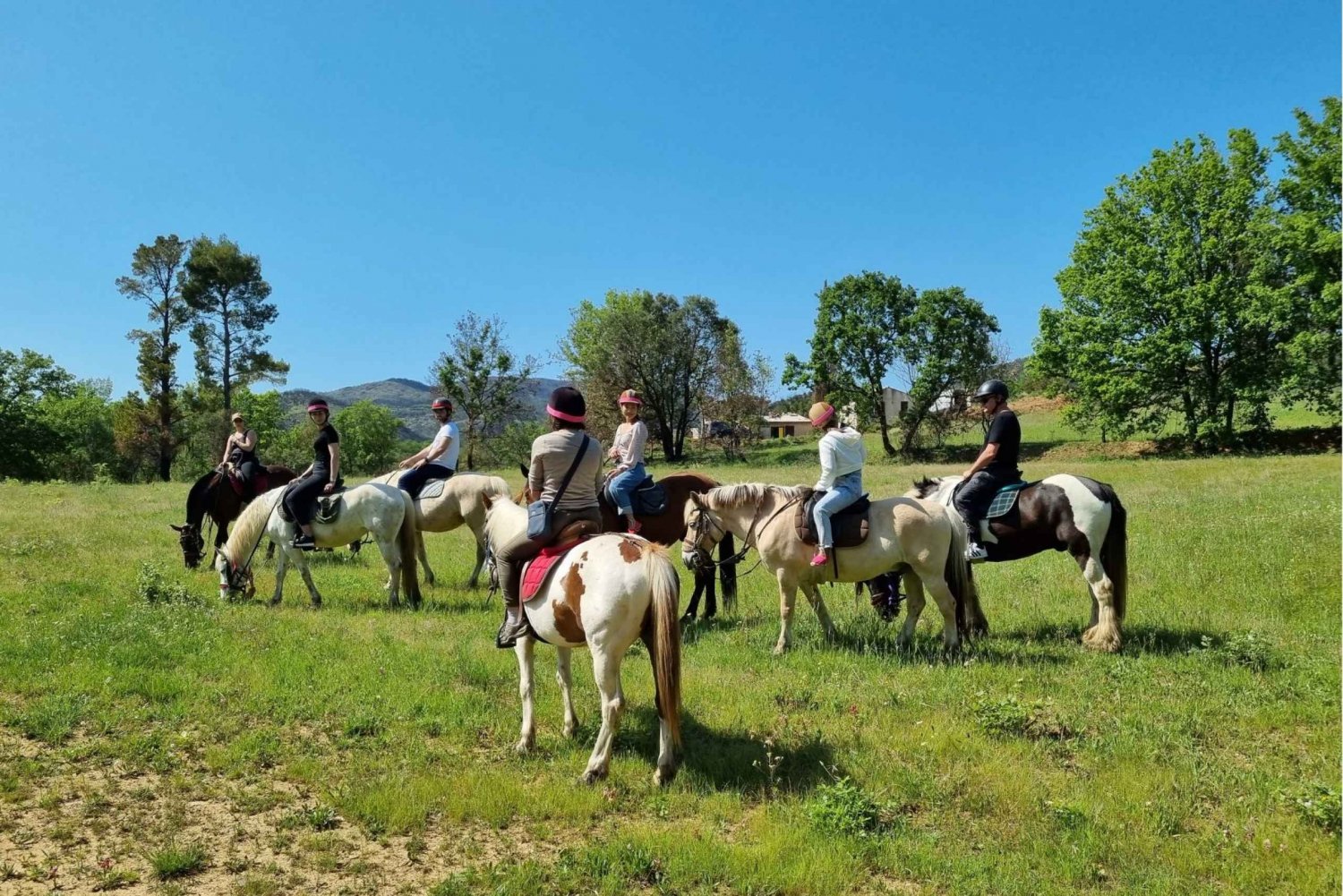 Horse back riding + wine tasting in the Maures Forest