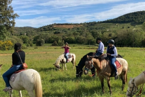 Paseos a caballo + cata de vinos en el Bosque de los Maures