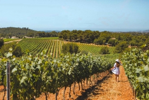 Hyères Côte d'Azur: Wine & Tourism Tour with tasting