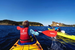 La Ciotat: Visita guiada de caiaque ao Parque Nacional das Calanques