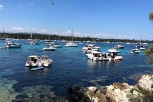 Crucero por las Islas Lérins y snorkel