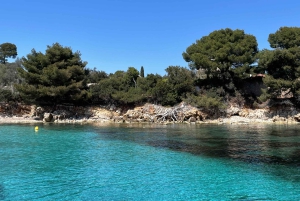 Seilferd til Lérins-øyene, snorkling og padlebrett