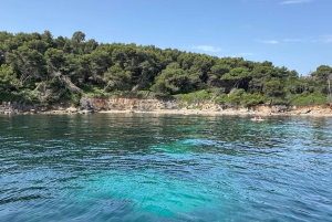 Seilferd til Lérins-øyene, snorkling og padlebrett
