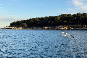 Seilferd til Lérins-øyene, snorkling og padlebrett