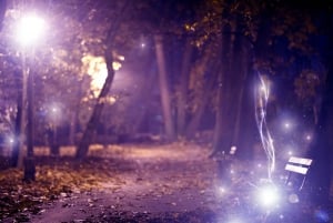 Moreton Island: Tangalooma Day Trip with ATV Quad Bike Tour