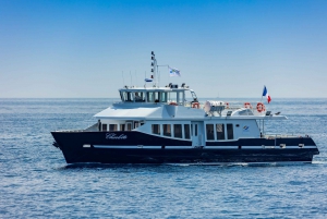 Mandelieu: Round Trip Boat Transfer to Monaco
