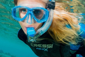 Marina Baie des Anges boottocht naar het Pelagos heiligdom